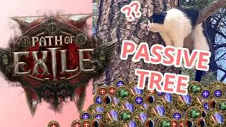 A PowerPoint on the Passive Skill Tree in Path of Exile 2