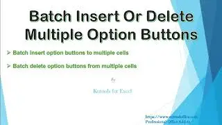 Batch Insert or Delete Option Buttons With One Click In Excel