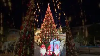 Christmas by the Sea: A Magical Xmas Day in Vlor&euml;, Albania