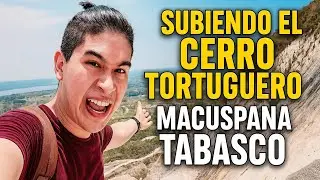 Cerro Tortuguero en Tabasco: ¿vale la pena subirlo?