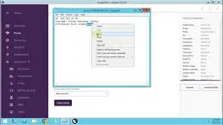 Incogniton Proxy Setup