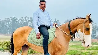 Gondal Stud Farm House Punjab, India | Home Sweet Home 🏡🇮🇳