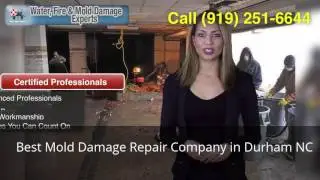 Best Mold Damage Repair Company in Durham NC (919) 251-6644