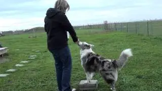 Kenzie Perch Box Training