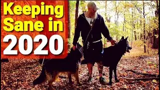 Keeping Sane in 2020 - MN Fall Colors with My Blue Bay Shepherd & GSD