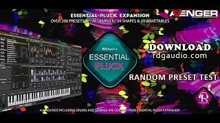 Essential Pluck VPS Avenger Expansion Pluck Arp String Sound RDGAudio