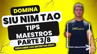 Siu Nim Tao: Masterclass en un 1 munito (3/8)