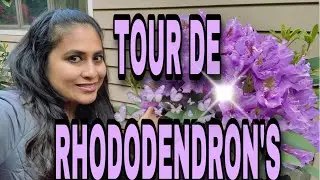 TOUR DE RHODODENDRO'S
