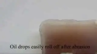 Preservation of Superhydrophobic and Superoleophobic Properties upon Wear Damage
