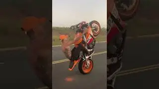 HONDA CBR 1000 Repsol Edition