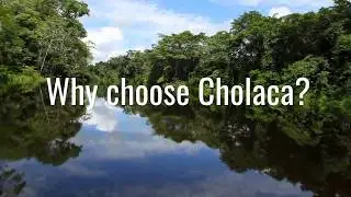 Save the Rainforest with Cholaca