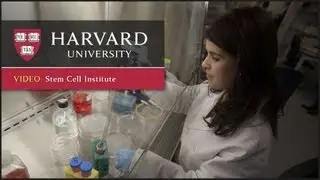 Changing the Foundations of Science: Harvard Stem Cell Institute | One Harvard