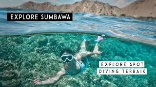 Explore Spot Diving Sumbawa - Kalimaya Dive Resort #2
