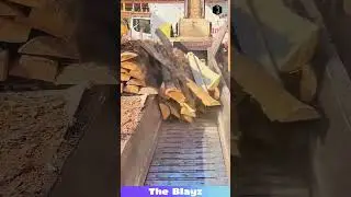 Wood Feeding Process Inside Machine | Sawmill Working System