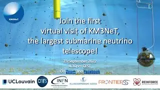 Virtual visit of KM3NeT
