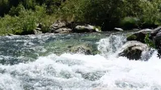 Fiddle Creek (Tahoe)