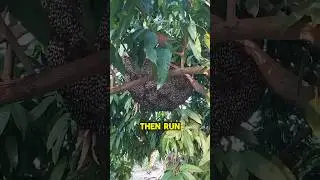 БЕГИТЕ, если видите это 😨 #вирусный