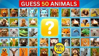 Guess 50 Animals in 3 Seconds 🐾 | Easy, Medium, Hard