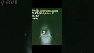 The Dark Truth About Dolphins&hellip; 😰 #interesting