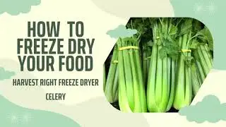 How to Freeze Dry Celery for long term storage