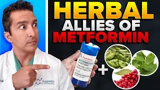 Metformin May Be Harmful In Long Term Unless You Do This!