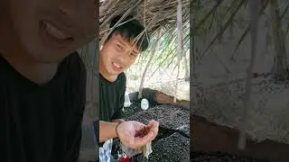 Update sa okra after 3days 
