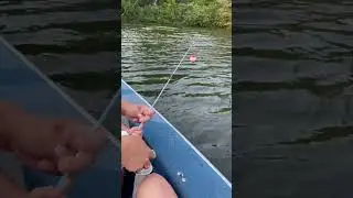 Hannah catching her first fish was pure magic! #fishing #catchingfish #firstfish #firstcatch