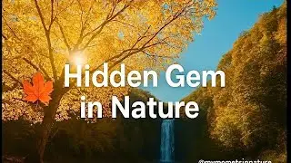 Beautiful Autumn Waterfall in Iran🍂 | Hidden Gem in Nature in Nature&rdquo; 