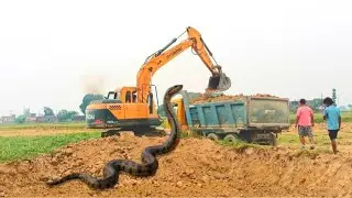 Hyundai 220 Loading video | Caterpillar 365C Excavator Loading Trucks | New jcb Working Video | 3dx