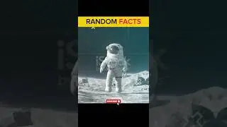 &ldquo;5 Random Facts You&rsquo;ll Instantly Love Today 🔥&rdquo; #facts #1minutefacts #fascinatinginformation