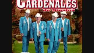 consuelito de mi vida -  cardenales de sinaloa