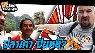 ปลาเก๋า ปันหยี?