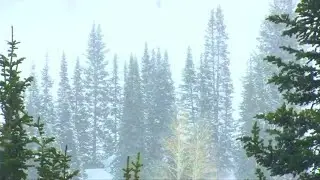 Snowstorm ☃️ blizzard , winter howling wind , ambience for studying sleeping  relaxing background