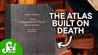 The Pernkopf Atlas: Medicine's Most Controversial Book