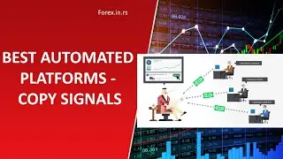 Best Automated Trading Platforms to Copy Trades!
