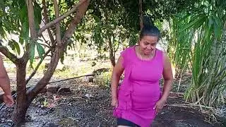 Enjarando mi ornilla