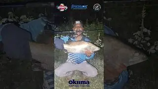 Barramundi Fishing Madness After Dark! 🔥#fishing #shorts #trending #newyoutuber #ytshorts
