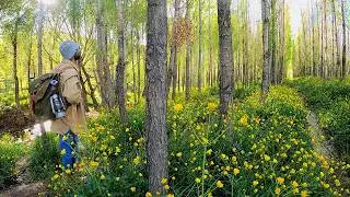 Narrated Nature Journey 4K l Relaxing ASMR Adventure to a Hidden Waterfall