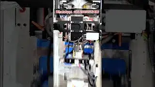 nut packing machine | 70-140 bags/min nut weighing and packing machine factory#nut #packingmachine