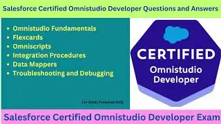 Salesforce Omnistudio Developer Questions and Answers (Pass in 2026) (Updated Syllabus Questions)