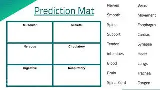 feb strategy of the month  prediction mat