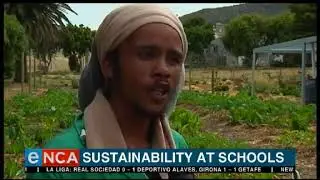A small scale farming project in Cape Town is taking hold