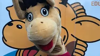 &lsquo;Healthy Harold&rsquo; program under threat due to funding costs