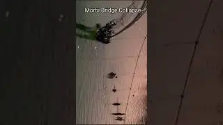 Morbi bridge collapse 2022 video #morbiupdate #morbinews #shorts