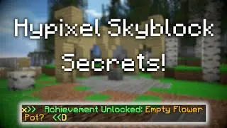 Hypixel Skyblock Secrets...