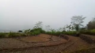 Potret Persawahan di Tengah Hutan Alas Nolagi Yogyakarta