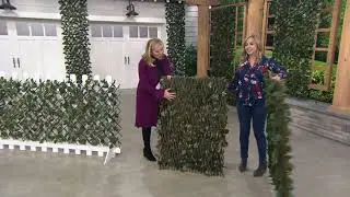 Compass Home Set of 2 Expandable Faux Ivy Privacy Fences on QVC