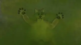 Stomp Zone 3