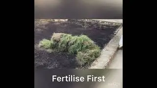 Korean Grass Planting Procedure