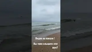 Из Флориды где +29 в Мичиган где +5 #shorts #shorts